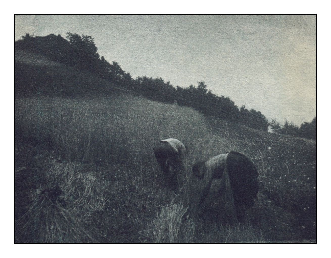 Erntearbeiter, Rurberg, 1905