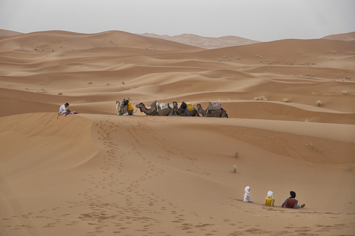 Morgendämmerung in der Sahara